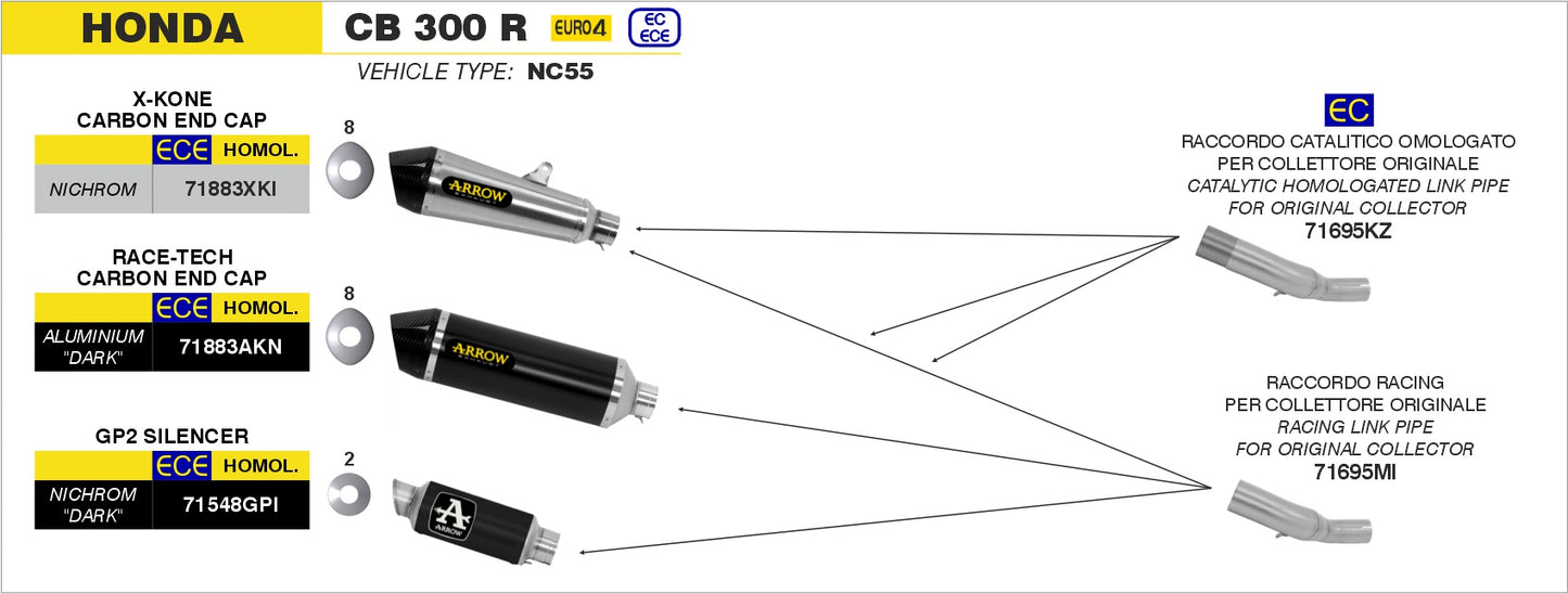 Terminale Race-Tech carbonio