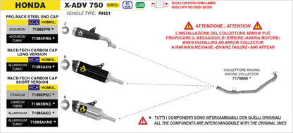 Terminale Race-Tech Alluminio Dark con fondello carby - versione corta