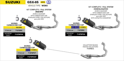 Kit completo Works titanio con fondello carby