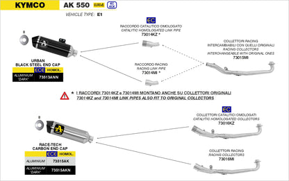 Kit collettori con convertitore catalitico omologato per terminale Race-Tech