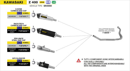 Terminale Race-Tech alluminio con fondello carby