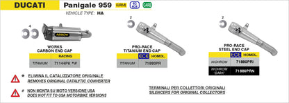 Terminali Works titanio (Dx+Sx) con fondello carby