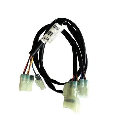 CABLAGGIO PER CENTRALINA EASY2 (F27-EA-010)