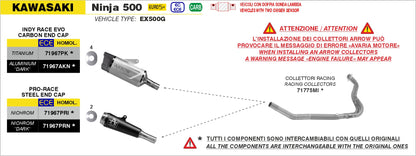 Terminale Indy Race EVO titanio con fondello carby