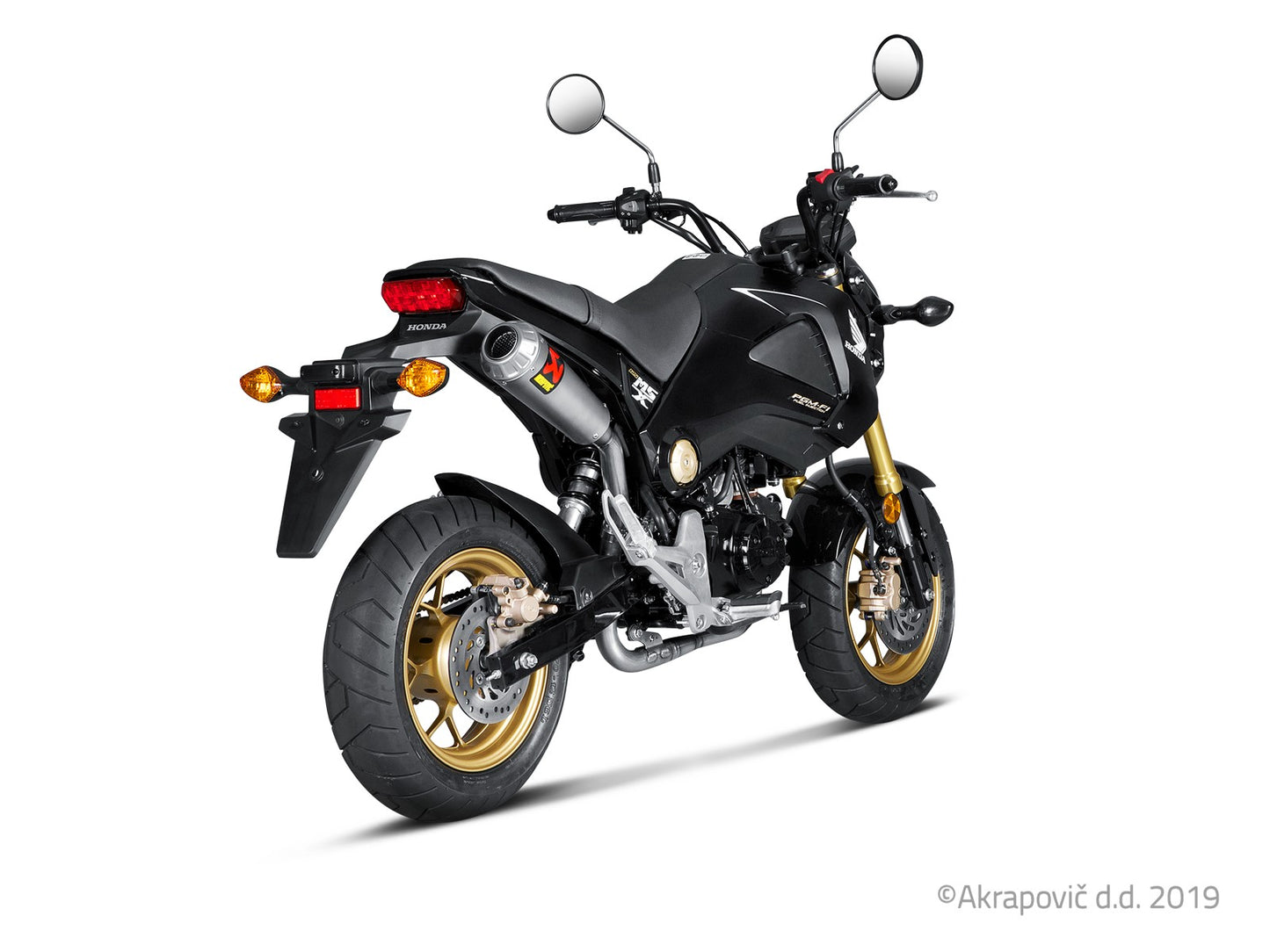 Collettore completo - Honda MSX 125/Grom 2013-15