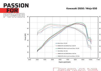 Remus Nxt stainless steel matt EC- approved exhaust system for KAWASAKI Z 650 2023-2024