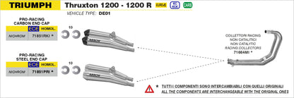Terminali Pro-Racing nichrom (Dx+Sx) con fondello carby
