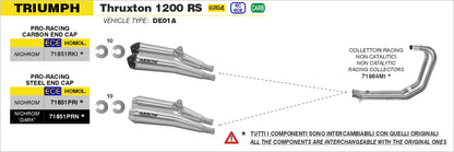 Terminali Pro-Racing nichrom (Dx+Sx) con fondello carby