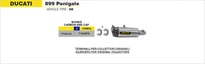 Terminali Works titanio (Dx+Sx) con fondello carby