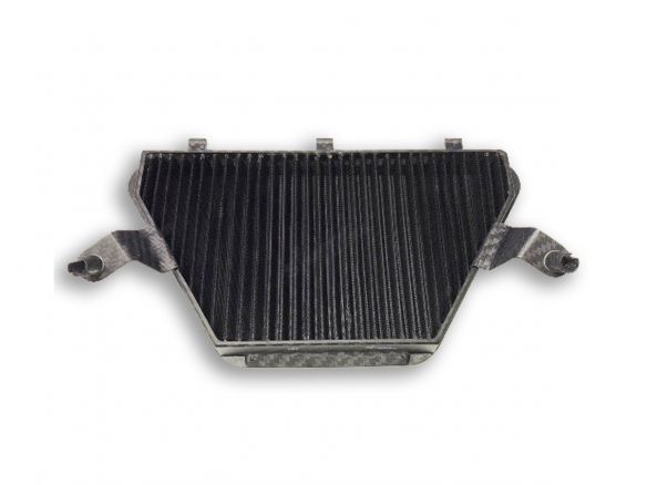 FULL CARBON AIR FILTER F1-85 SPRINT FILTER HONDA CBR 1000 RR-R / SP 2020-2022