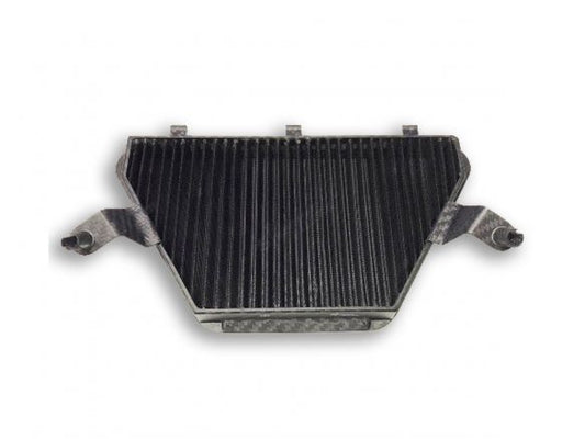 FULL CARBON AIR FILTER F1-85 SPRINT FILTER HONDA CBR 1000 RR-R / SP 2020-2022